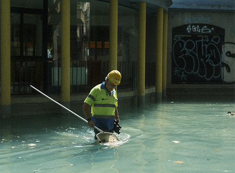 Servicios profesionales