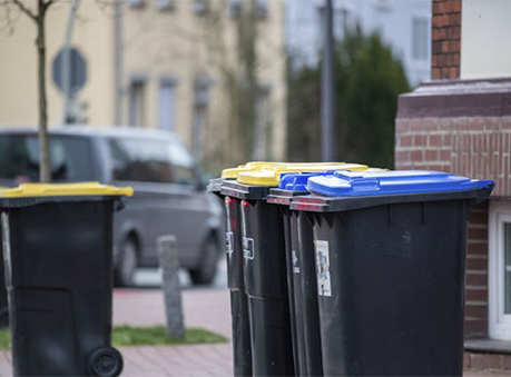 Servicios profesionales